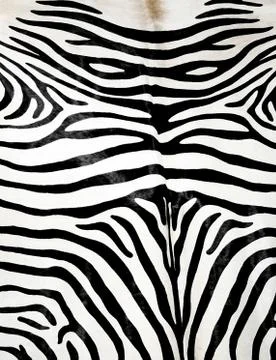 Zebra skin pattern Stock Photos