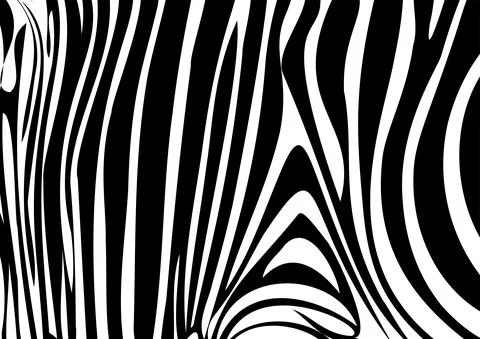 Zebra skin pattern print pattern vector graphics zebra Skin Illustrazione stock