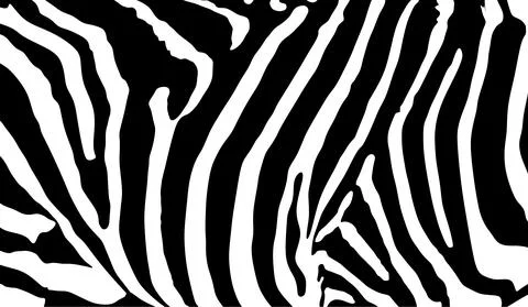 Zebra skin pattern vector illustration. Wild animal print zebra Stock Illustration