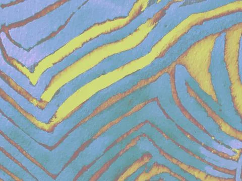 Zebra Skin Print. Stock Illustration