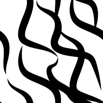 Zebra skin repeated seamless pattern. Black and white colors Stock Illustration