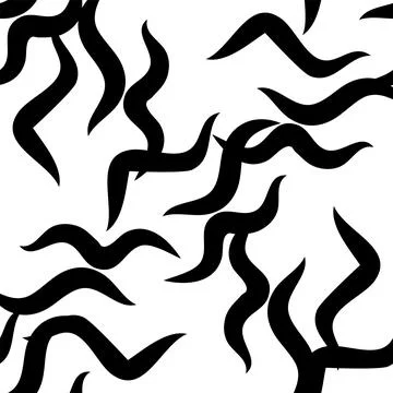Zebra skin repeated seamless pattern. Black and white colors Stock Illustration