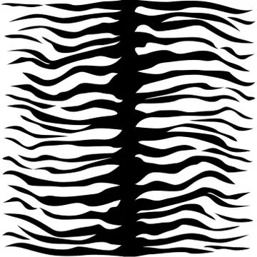 Zebra skin seamless pattern. Exotic zebra skin drawing, fashionable white Stock Illustration