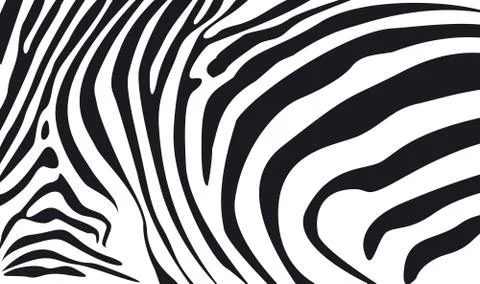Zebra skin textured background Stock Illustration