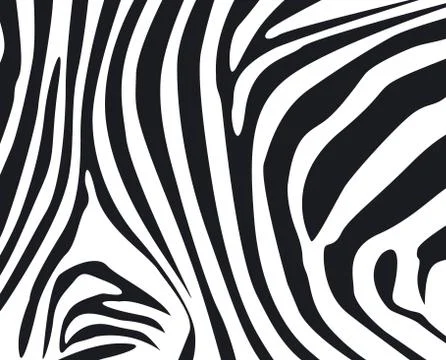 Zebra skin textured background Stock Illustration