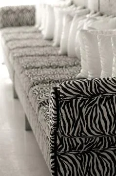 Zebra sofa Stock Photos