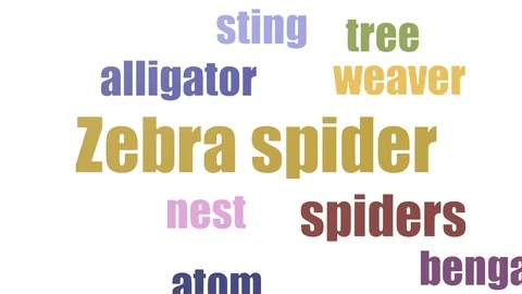 Zebra Spider Tag Cloud Animated Isolated Stock Footage 103561626