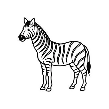 Zebra Standing Illustration Simple Black and White African Animal Drawing Stock Illustration