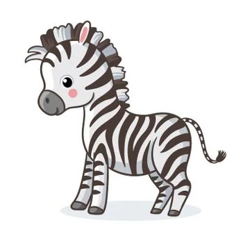 Zebra is standing on a white background and smiling. Illustrazione stock