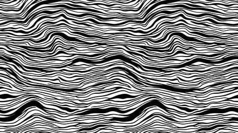 Zebra stripe flow lines black white texture for textile design. イラスト素材