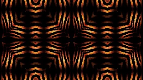 Zebra stripe pattern fantasy animation Stock Footage 91020415