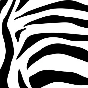Zebra Stripe Seamless Pattern Stock Illustration