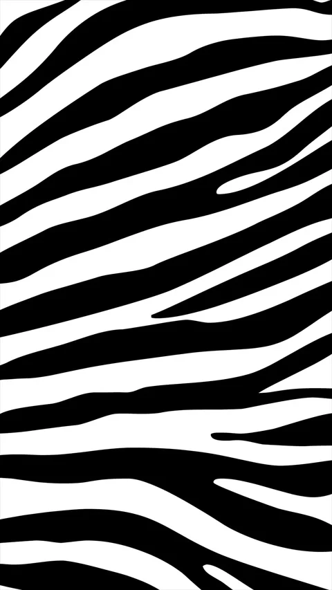 Zebra stripes background on a seamless loop Stock Footage 311123852