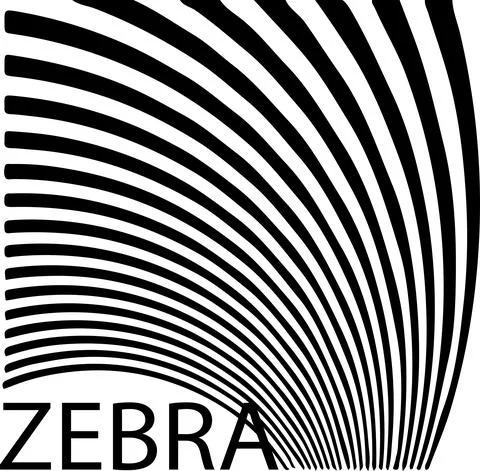 Zebra stripes illustration isolated on background Illustrazione stock