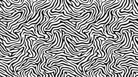 Zebra stripes pattern black and white animal print background. Stock Illustration