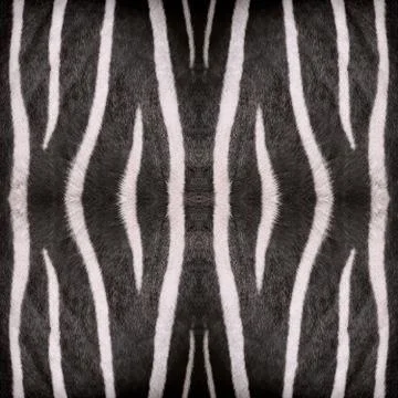 Zebra stripes pattern Stock Illustration