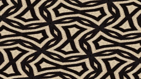 Zebra stripes pattern kaleidoscopic animation Stock Footage 113480544
