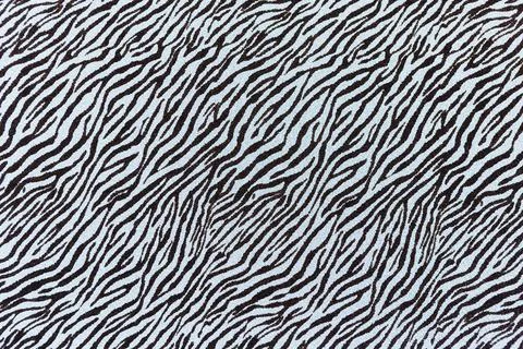 Zebra stripes seamless pattern. Abstract background for designer. Copy space  Stock Photos