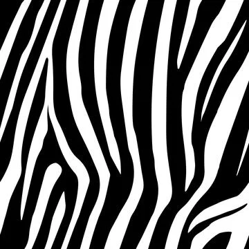 Zebra Stripes Seamless Pattern. Zebra print, animal skin, tiger stripes Stock Illustration