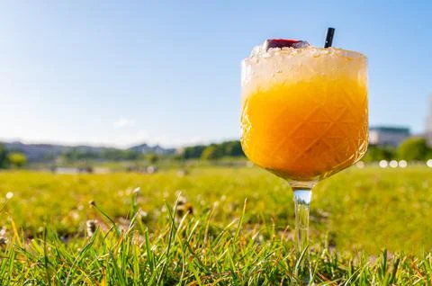 Zebra striping and damp drinking. Fruits cocktail and summer drink Stock Photos
