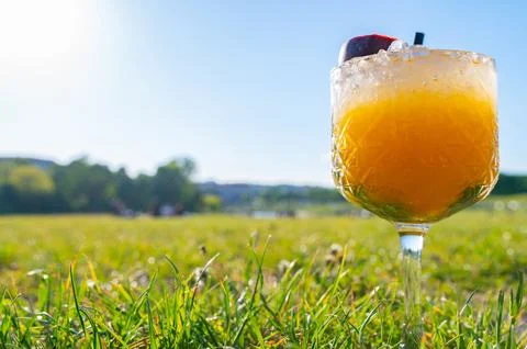 Zebra striping and damp drinking. Fruits cocktail and summer drink Stock Photos