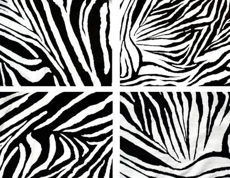 Zebra style fabric Foto stock