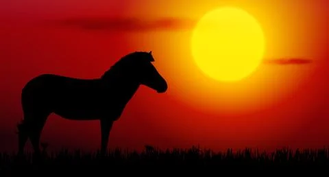 Zebra on sunset Stock Illustration