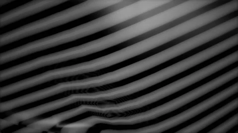 Zebra texture background Stock Footage 51957297