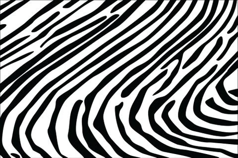 Zebra texture background Illustrazione stock