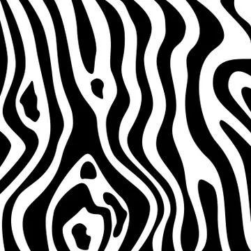 Zebra texture black and white Stock Illustration