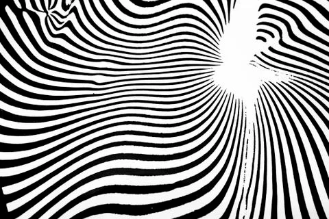 Zebra texture Illustrazione stock