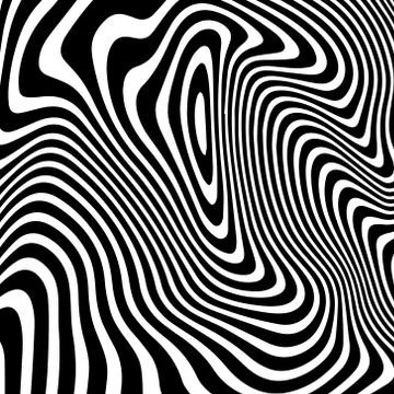 Zebra texture  . Vector イラスト素材