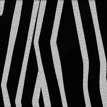 Zebra texture zebra texture Copyright: xZoonar.com/SergiyxArtsabax 4808322... Foto stock