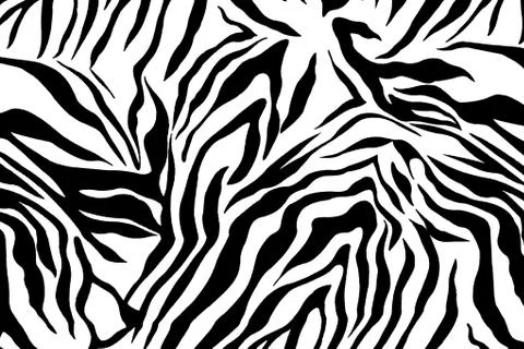 Zebra textured  striped Stock Illustration