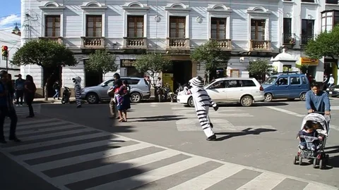 Zebra traffic warden Stock Footage 75901720