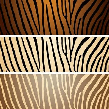 Zebra variation Collection of three zebra patterns with camouflage effect ... Foto stock