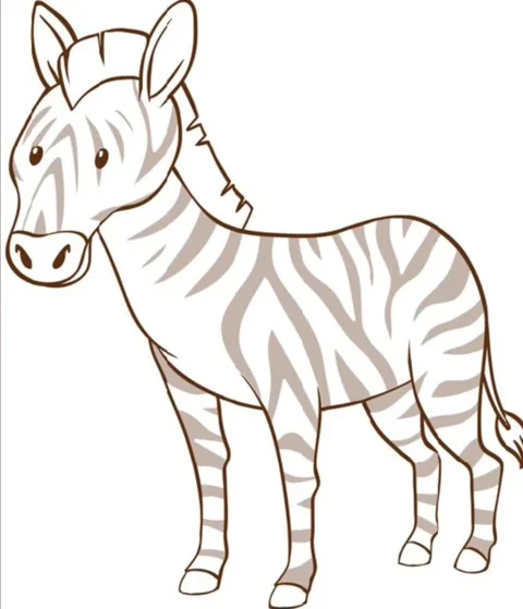 Zebra Vector Animation Stock Footage 259675113