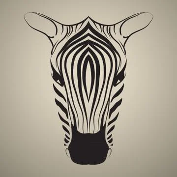 Zebra vector Illustrazione stock