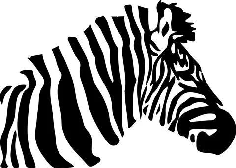 Zebra vector illustration isolated on background Illustrazione stock