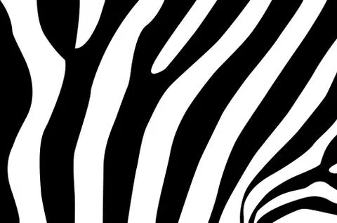 Zebra - vector striped pattern Stock Illustration