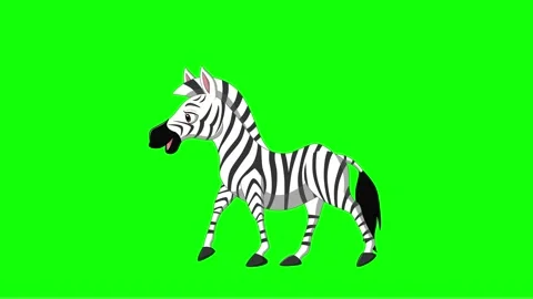 Zebra walk animation Stock Footage 201278515