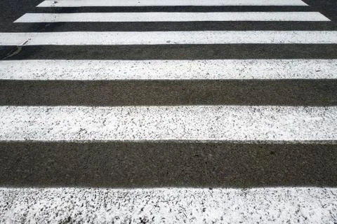 Zebra walking path Stock Photos