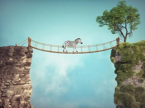 The zebra walks on a bridge between two rocks. Risk taking and destination .. Stock Illustration