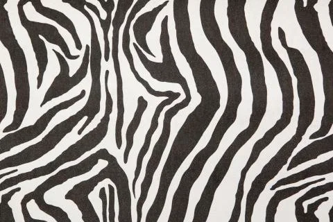 Zebra wall design Stock Photos