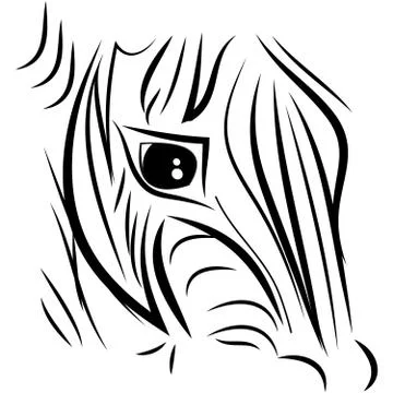 Zebra on white background Stock Illustration