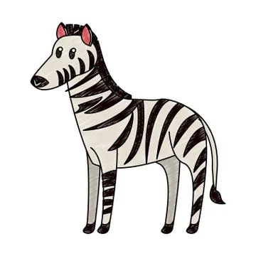Zebra wild animal scribble Stockillustratie