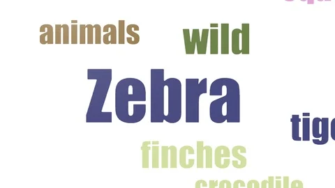 Zebra Word Cloud Animated Isolated Stock Footage 103563044