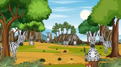 Zebras in the forest scene Illustrazione stock
