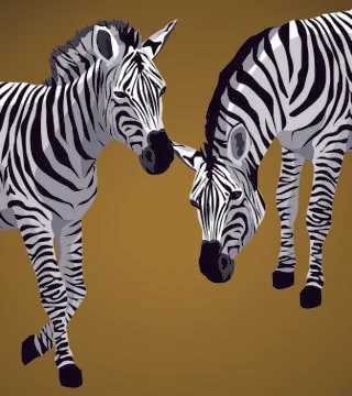 Zebras Stock Illustration