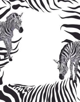 Zebras Stock Illustration